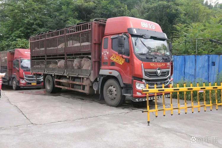 鄉(xiāng)村貨運(yùn)人鄉(xiāng)村運(yùn)輸