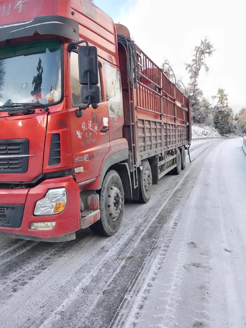 西藏貨運歌曲藏族貨車
