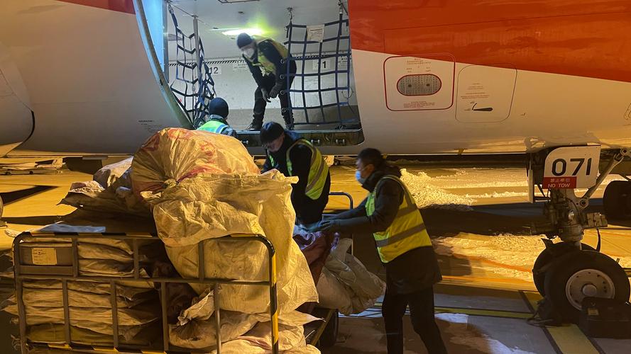 機場貨運分類機場貨運分類有哪些